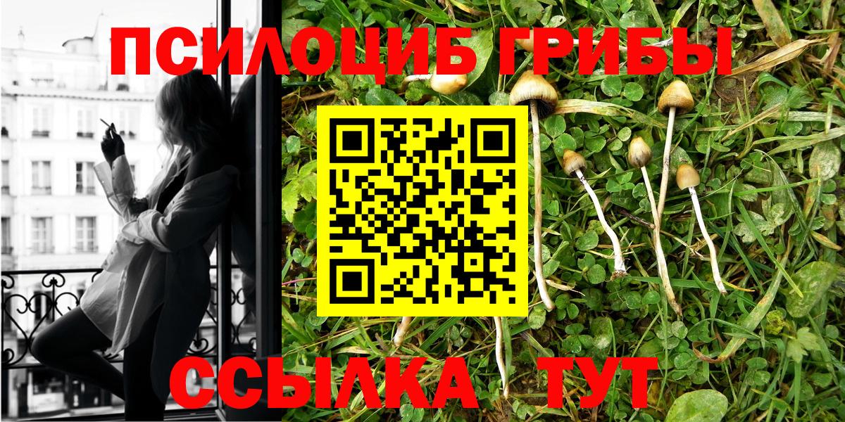 Псилоцибиновые грибы Psilocybine cubensis  Вход с VPN  Выборг 